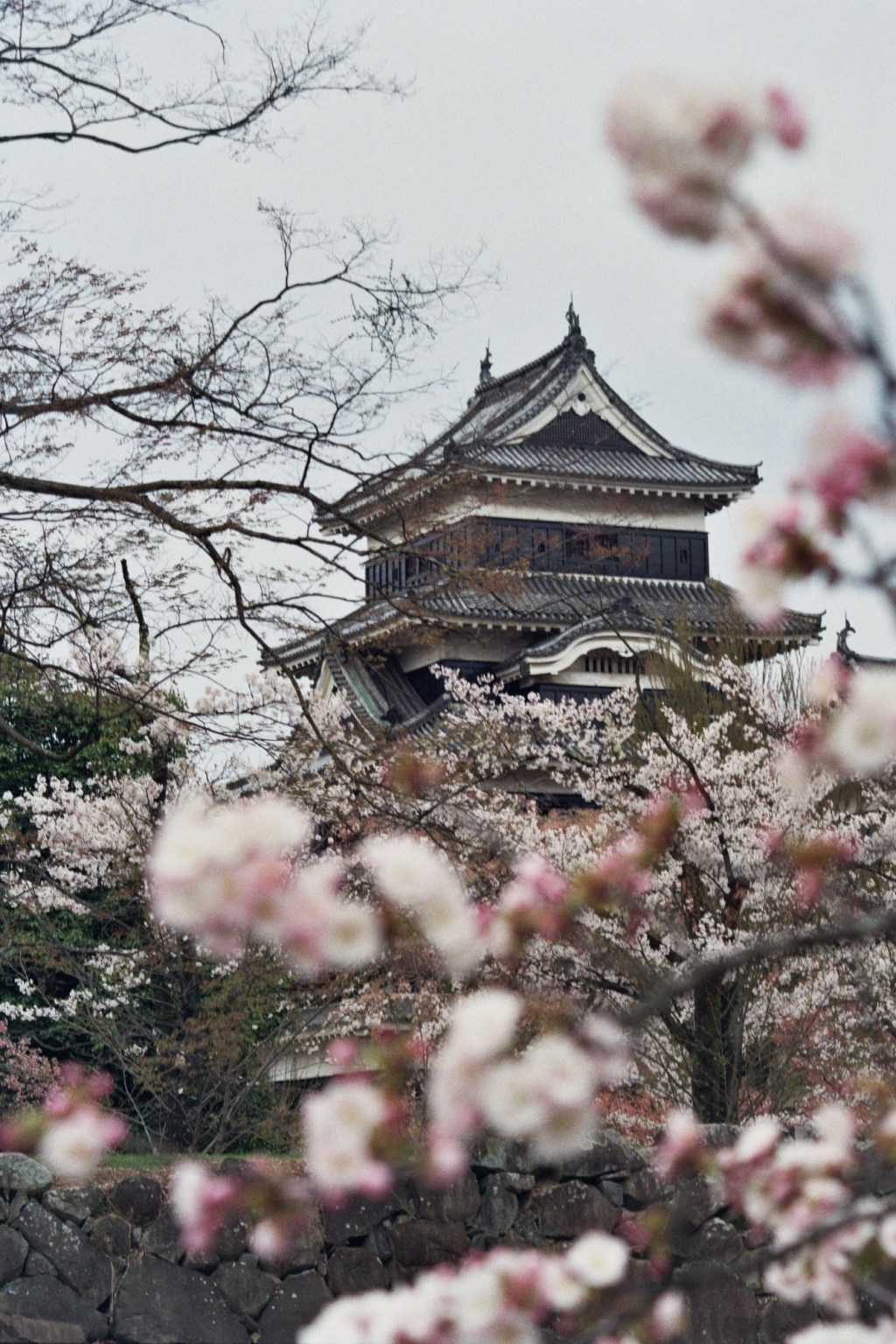 A Meditation on Japanese&nbsp;Gardens