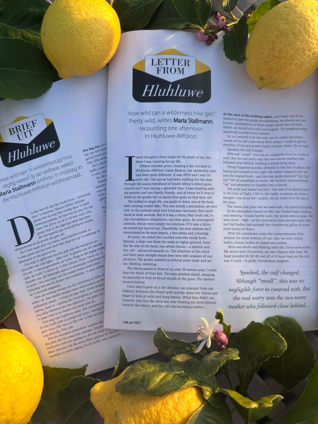 LETTER FROM Hluhluwe